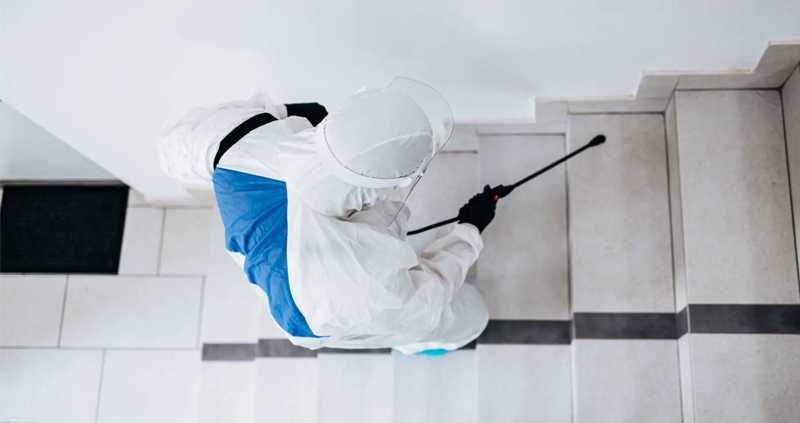 pest control service