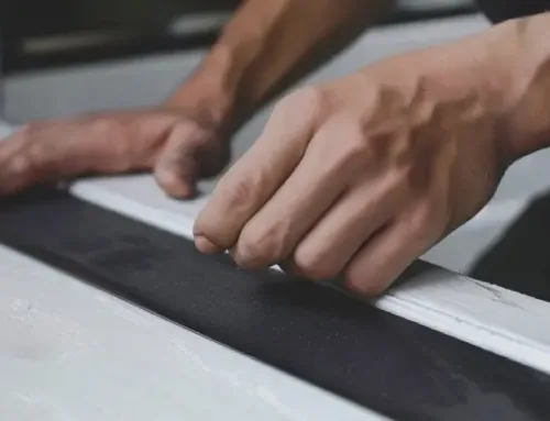 Seal House From Rodents Services Near Me: What to Look For in a Provider