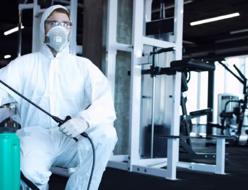 What Is Commercial Pest Control? (And Why Your Business Needs It Yesterday)