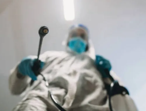 What is Residential Pest Control? Your Austin Home Deserves Protection