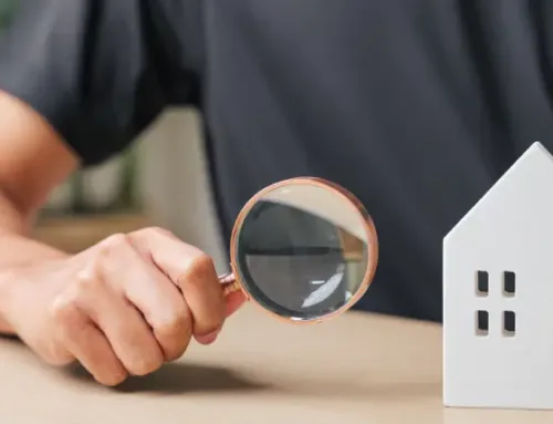 Real Estate Termite Inspections (WDI) in Austin: Timing, Reports, and Next Steps