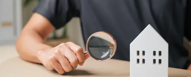 Real Estate Termite Inspections