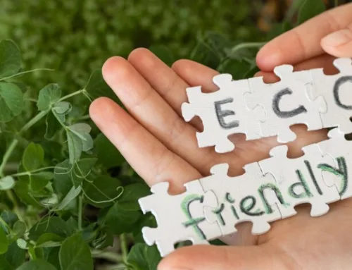 Eco Friendly Termite Control in Austin: What Green Really Means for Your Home